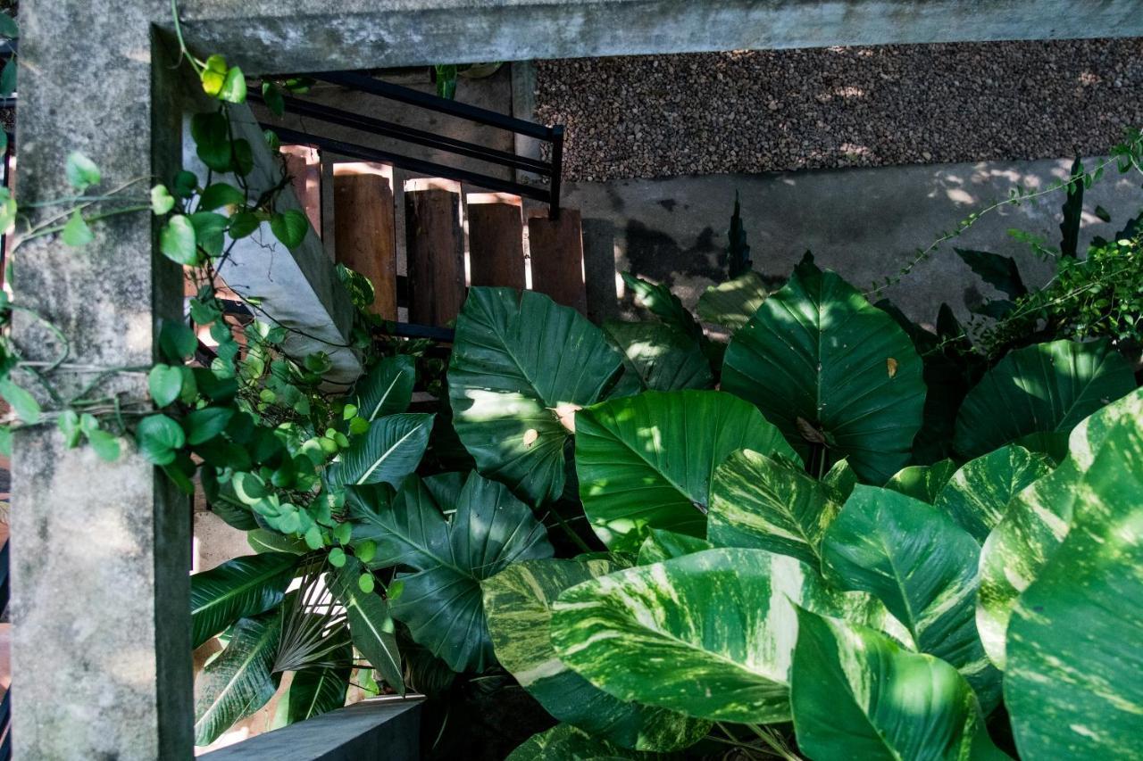 Serene Villa ディックウェラ エクステリア 写真